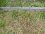 image of grave number 683794
